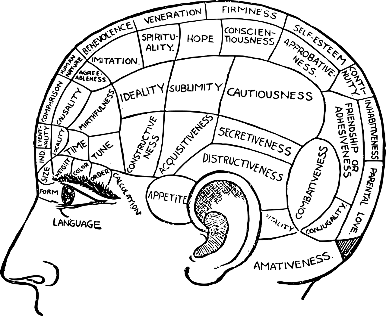 10-benefits-of-exercise-why-staying-active-matters