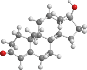Testosterone Organic Chemistry Hormones