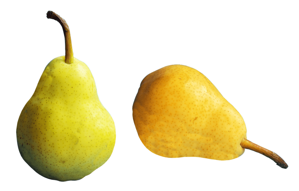 types of pears